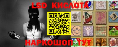 мяу мяу мука Лесосибирск