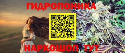 индика Ликино-Дулёво