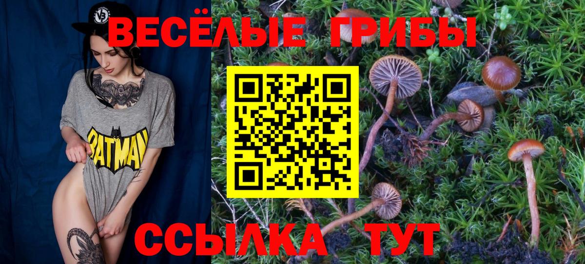 Галлюциногенные грибы Psilocybe  Вход с VPN  Вышний Волочёк 